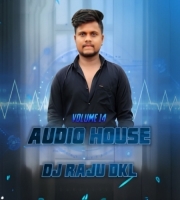 Audio House (Vol. 14) Dj Raju Dkl