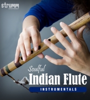 All Instrumental & Flute Remix