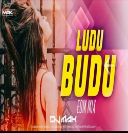 Ludu Budu (Sambalpuri Edm Trance) Dj Remix