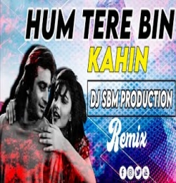 Hum Tere Bin Kahin Reh Nahin Paate (Remix) Dj Sbm