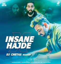 Insane X Hajde (Mashup)   DJ Chetas