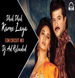 Dhak Dhak Karne Laga (EDM CIRCUIT MIX) DJ Remix