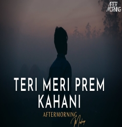 Teri Meri Prem Kahani Mashup by Aftermorning