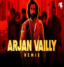 Arjan Vailly   DJ NYK Remix