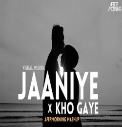 Vishal Mishra   Jaaniye x Kho Gaye Mashup Aftermorning Chillout Remix