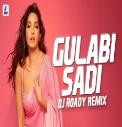Gulabi Sadi (Remix) DJ Roady