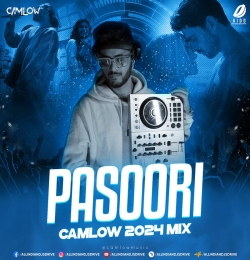 Pasoori X Feel It (Mashup 2024)   Camlow