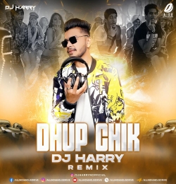 Dhup Chik (Remix)   DJ Harry