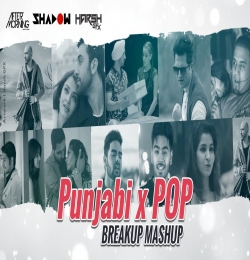 Punjabi Pop Breakup Mashup by Aftermorning